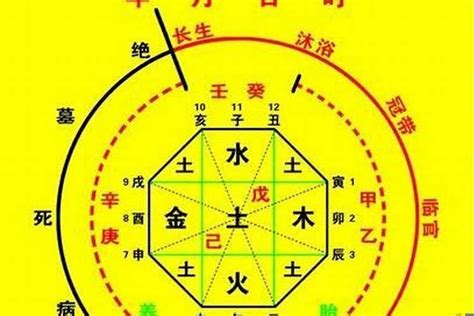 八字喜金的建议